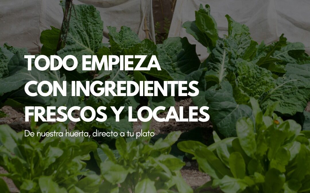 Catering en Salamanca: comida sostenible y de proximidad, directa de la huerta a tu mesa