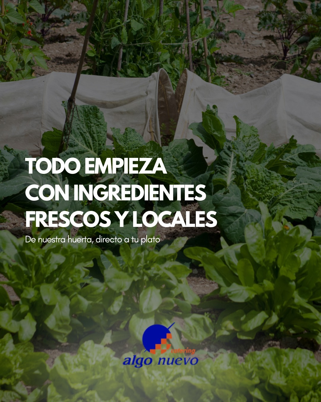Comida casera y catering a domicilio con productos locales y frescos en Salamanca