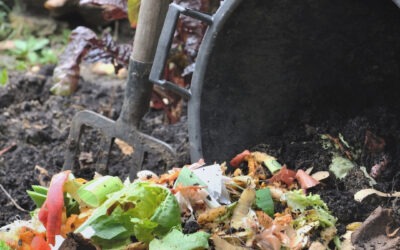 Residuos orgánicos: el secreto del catering en Salamanca con verdadero desperdicio cero