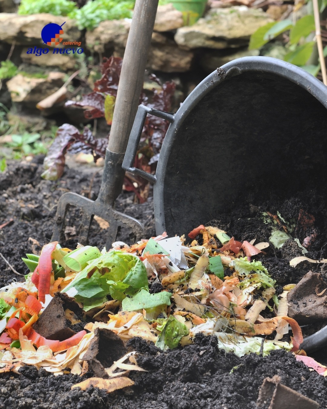 Catering en Salamanca sostenible con gestión de residuos orgánicos y aprovechamiento del compost